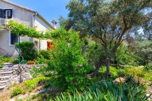 Apartments Nona, Miholaščica