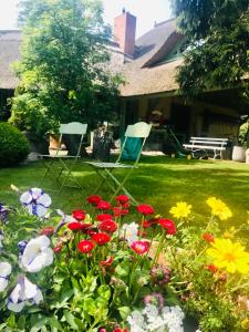 "Backbord" by Ferienhaus Strandgut