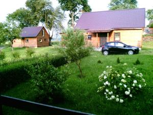 Domek Holiday Home Pod Lipami Dmitrovichi Białoruś