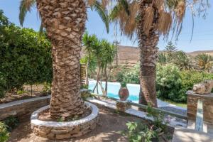 Charming 3-Bedroom House in Tinos Tinos Greece