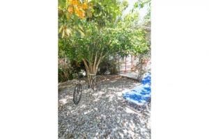 Lovely 3-Bedroom House in Tinos Tinos Greece