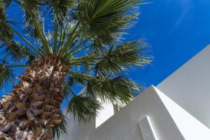 Lovely 3-Bedroom House in Tinos Tinos Greece