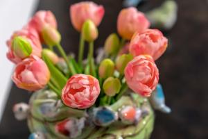 Boardinghouse Burgpark