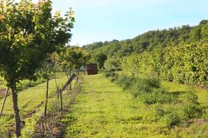 Hotels Domaine de Saint-Gery : photos des chambres