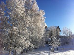 Appartements Le Skisud Cosy T3 Massif de Ecrins Puy St Vincent 1800 : photos des chambres