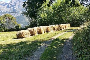 Appartements Le Skisud Cosy T3 Massif de Ecrins Puy St Vincent 1800 : photos des chambres