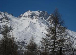 Appartements Le Skisud Cosy T3 Massif de Ecrins Puy St Vincent 1800 : photos des chambres