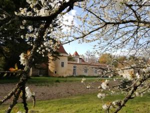 Maisons d'hotes Chateau des Salles : photos des chambres