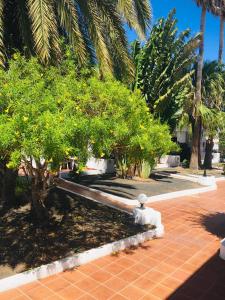 Apartamentos Maribel