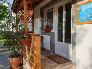 Apartment Liso 