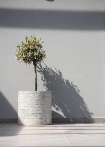 Kochyli Garden Studios