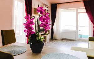 Orchid Apartment Summerland Free Parking