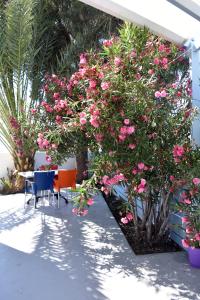 Adelphi Apartments Santorini Greece