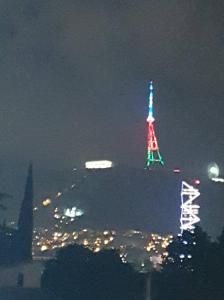 Apartment on Nikoloz Gotsiridze str 22