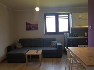 Wrzosowe Wzgórze Apartamenty