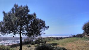 Appartements Appartement Figure de proue, pres Les Sables d Olonne, Talmont saint Hilaire : photos des chambres