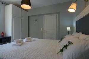 Villa Elaia Suites & Apartments No.2 Paxoi Greece