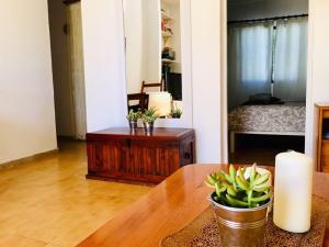 Apartment Alessandra with Sat Tv Wifi only 200m from Playa Grande