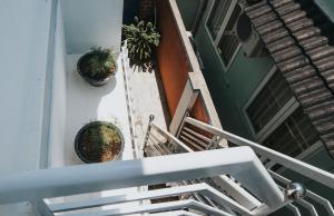 Nais house - Homestay