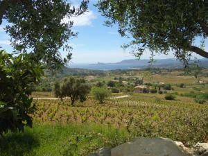 Maisons de vacances Holiday Home Les Vignes by Interhome : photos des chambres