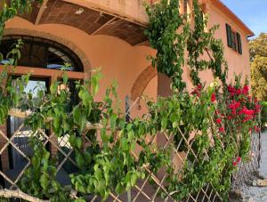 Fattoria di Casalappi img53