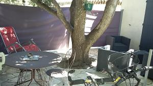 ChambreStudio bord de mer, Piscine