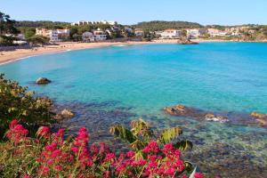 M11 ap 150 m playa La Fosca 6 pers luminoso
