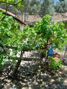 Persefoni house Pelion Greece