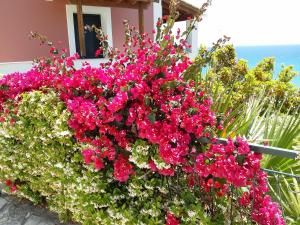 Glyfada beach two floors apartment 2-3 people Corfu Greece