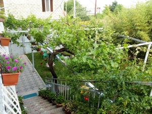 Valiko house in Telavi