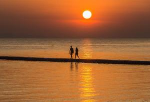 Cocohut Beach Resort Koh Phangan