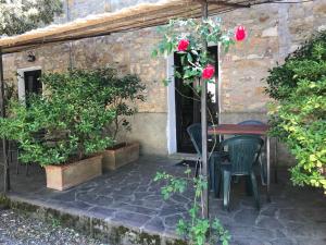 Apartment mit Terrasse