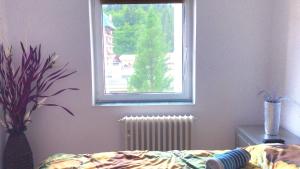 Apartament Langa Telecabina