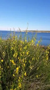 Apartman Branka - 利兹扬 Apartman Branka - 利兹扬