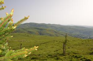 Belen Yayla Otel