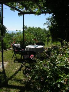 Apartments Panoramic
