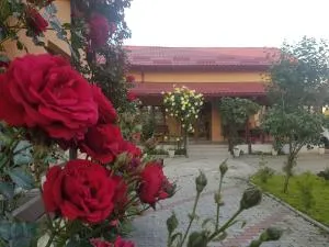 Mill House - Jucu de Mijloc