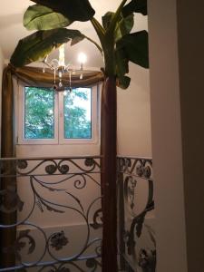 Vila Kraljica Vrdnik