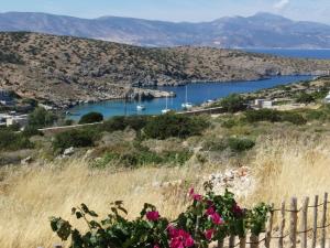 Alexandra Studios Irakleia-Island Greece