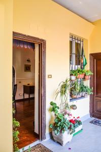 House Candia 111 - Vatican Museum apartment