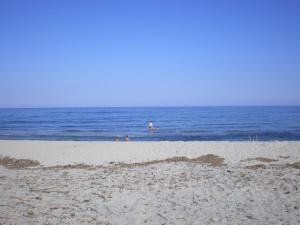 vigne maio - Ubytování bez kategorie ve městě Ventiseri