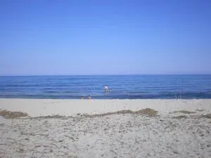 vigne maio - 文蒂塞里