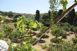 Kalypso Apartments Lipsoi-Island Greece