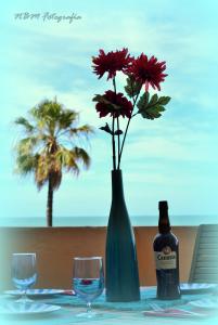 AMAZING FRONTAL BEACH APARTMENT #Travellers Awards2023