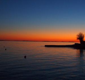 Holiday Home Happiness