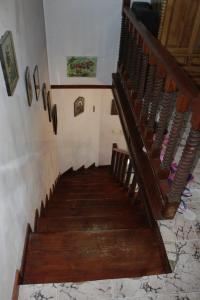 Nikolas house