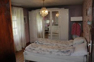 Nikolas house