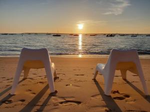 La Villa Fuberia - Seafront Bassin dArcachon