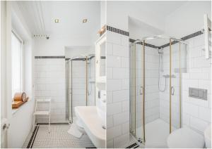 Studio - Grandtulipan