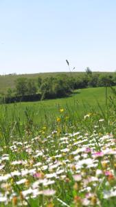 Maisons de vacances Nature's Pace Holidays : photos des chambres